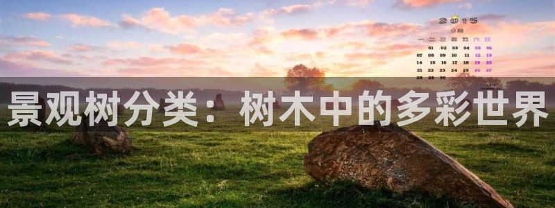 义乌摩根娱乐会所消费:景观树分类:树木中的多彩世界